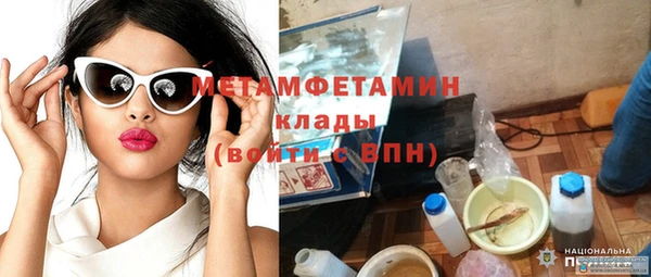 прущие грибы Рославль