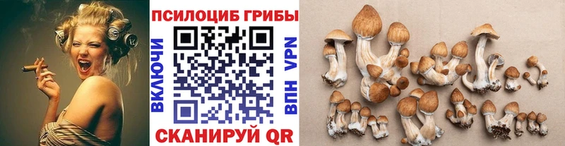 Псилоцибиновые грибы Psilocybe  hydra как войти  Пушкино 