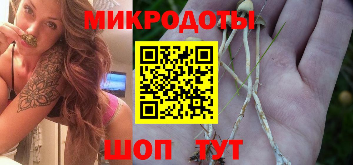 Пушкино  Галлюциногенные грибы Magic Shrooms  Псилоцибиновые грибы GOLDEN TEACHER  Вход с VPN 