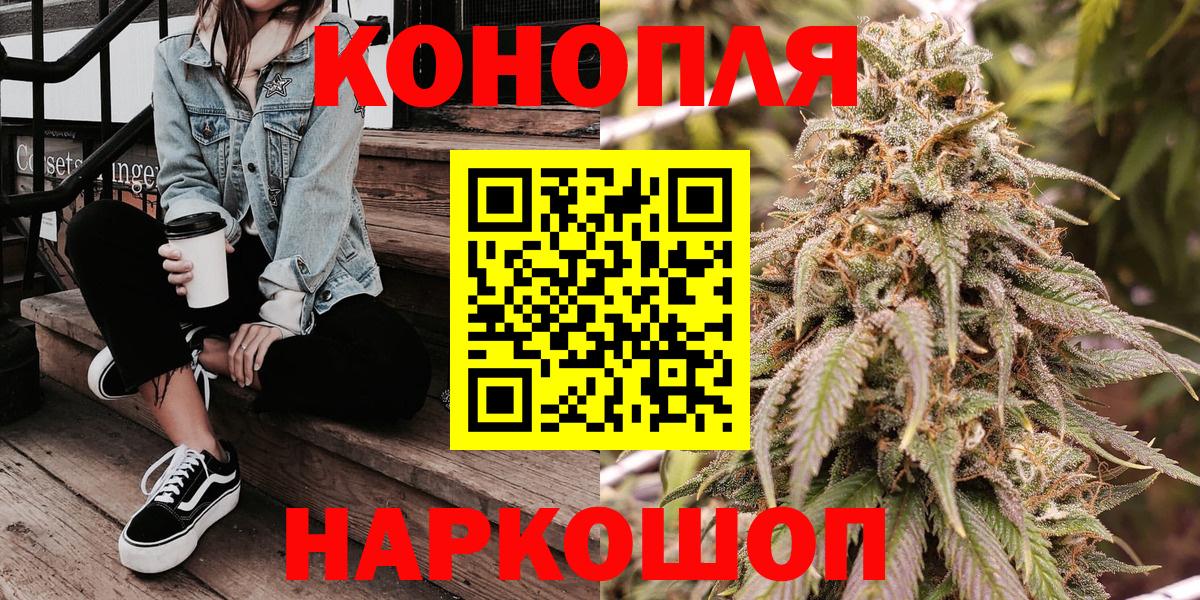 Бошки Шишки конопля  МАРИХУАНА сатива  Пушкино  Конопля индика 